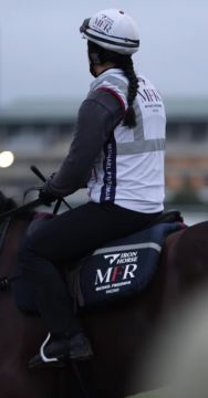 Iron Horse, Reflective Vest - Mesh Customised